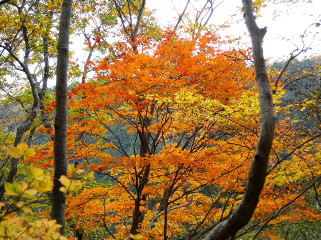 Cozy Inn Antique Nasu Dış mekan fotoğraf